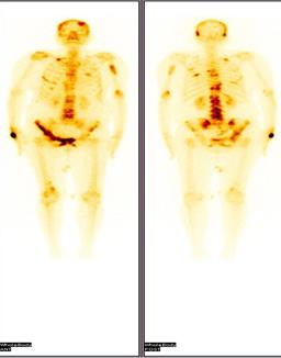 006771_09 SAFINA C .jpg